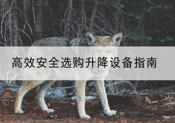 浉河升降货梯厂家推荐-*安全选购升降设备指南