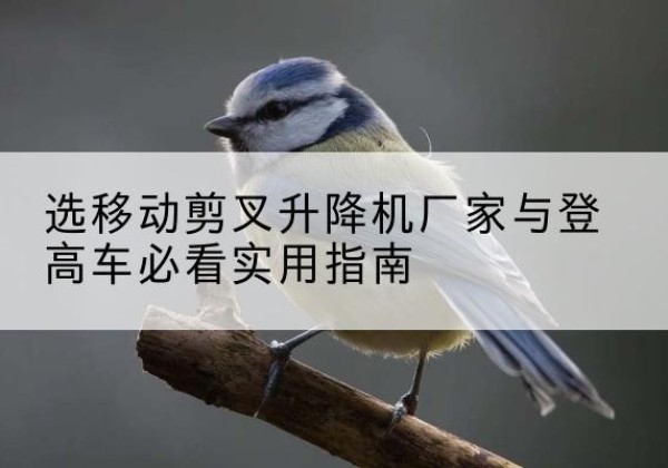浉河电动升降机厂家-选移动剪叉升降机厂家与登高车必看实用指南