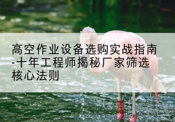 浉河剪叉式升降机厂家-高空作业设备选购实战指南-十年工程师揭秘厂家筛选核心法则